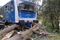 Vlak Bělá nad Radbuzou_0725_HZSPK (1)