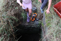 záchrana uvízlého srnčete_0725_DESOP (2)