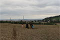 záchrana uvízlého srnčete_0725_DESOP (9)