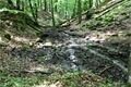 V Zábělé byla dokončena obnova hráze nádrže Olšovka_0825_MMP (4)