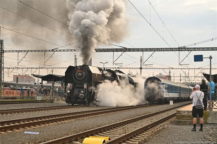 Šlechtična jede na Chodské sl