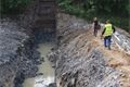 Záchranáři pomohli labuti z výkopu v centru Plzně_0825_DESOP (2)