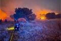 Hasiči z PK zasahovali v Řecku_0825_PK a HZS ČR (1)