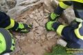 Hadí rodinka se zabydlela na špatném místě_0825_HZSPK (2)