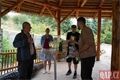 Křtiny zebry bezhřívé_0825_QAP (7)