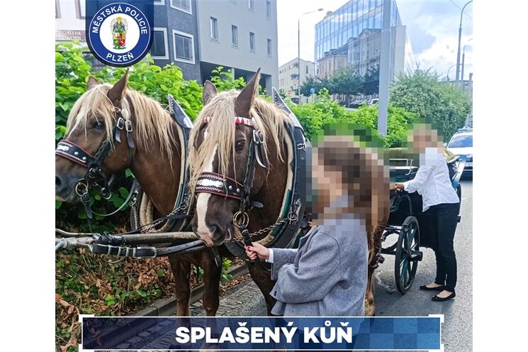 Neobvyklá dopravní nehoda_0925_MPP