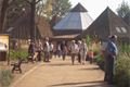 Africká expozice