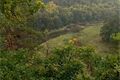 Nordic Waling_MO3_0925 (3)