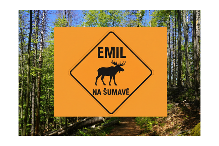 los Emil na Šumavě_0925_iustrační los Emil na Šumavě_0925_iustrační