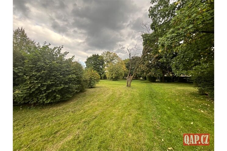 Obrázek WhatsApp, 2025-09-30 v 17.31.25_183b50d1