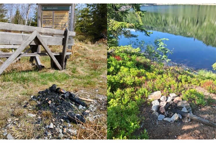 nelegální ohniště_Správa NP Šumava_1025 (0)