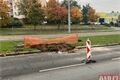 Rekonstrukce Karlovarská Plzeň_1025_QAP (3)