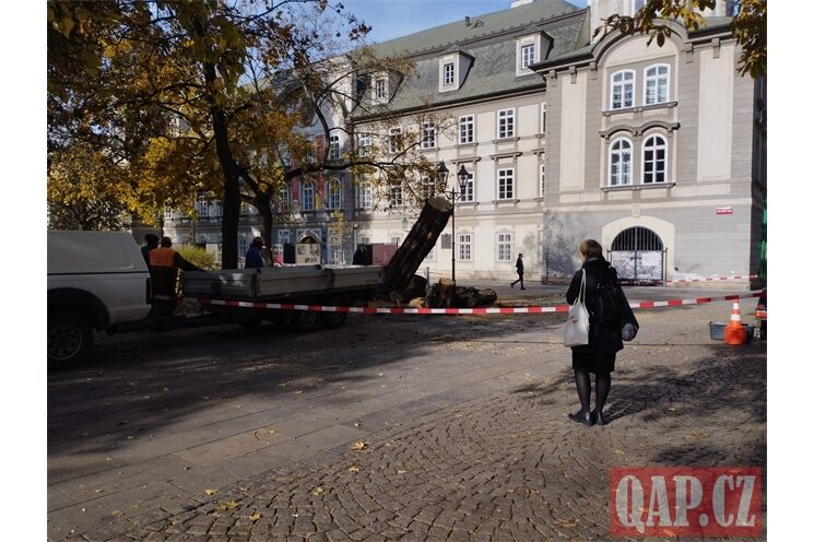 kácení stromů Smatanovy sady_1025_QAP (1) kácení stromů Smatanovy sady_1025_QAP (1)