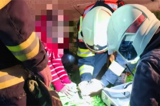 Záchrana na poslední chvíli. Hasiči oživili psa po požáru_1125_fb hasiči Bor (1) Záchrana na poslední chvíli. Hasiči oživili psa po požáru_1125_fb hasiči Bor (1)