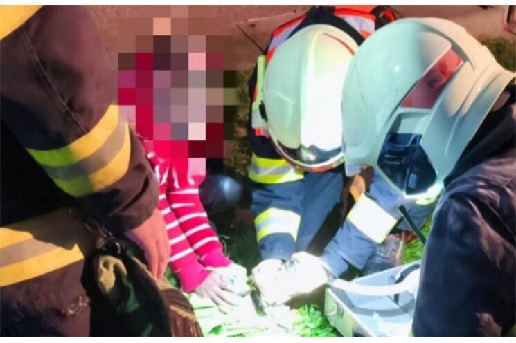 Záchrana na poslední chvíli. Hasiči oživili psa po požáru_1125_fb hasiči Bor (1)