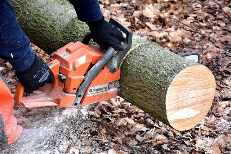 cutting-wood-2146507_1280
