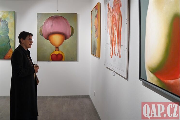 vernisáž Treml a Dittrichová_1125_QAP (8)