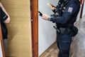 cizinecká policie kontroly_1125_PČR (3)