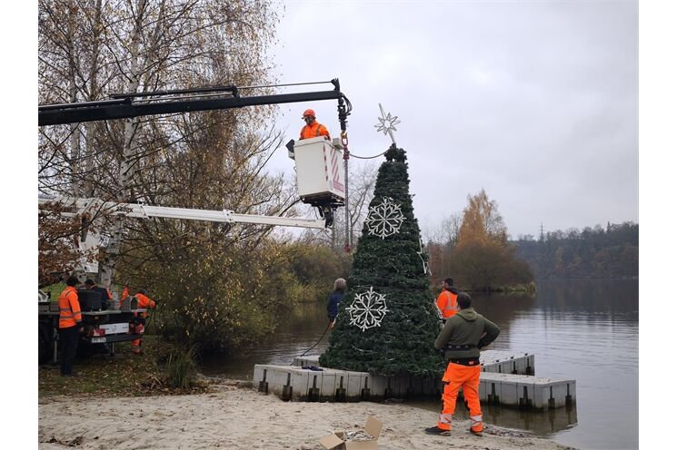 stromek na borské přehradě_1125_ÚMO3 (4)