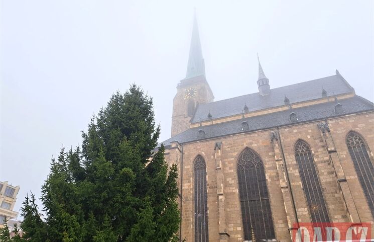 vánoční strom na náměstí_1125_QAP (1)