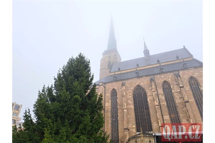 vánoční strom na náměstí_1125_QAP (1)