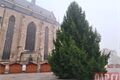 vánoční strom na náměstí_1125_QAP (5)