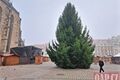 vánoční strom na náměstí_1125_QAP (7)