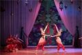 03_la_bayadere_2025_foto_irena_sterbova-8599