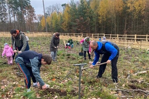 Dobrovolníci oživili městský les v Zábělé_1125_MMP (3) Dobrovolníci oživili městský les v Zábělé_1125_MMP (3)