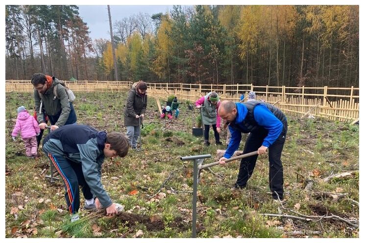 Dobrovolníci oživili městský les v Zábělé_1125_MMP (3)