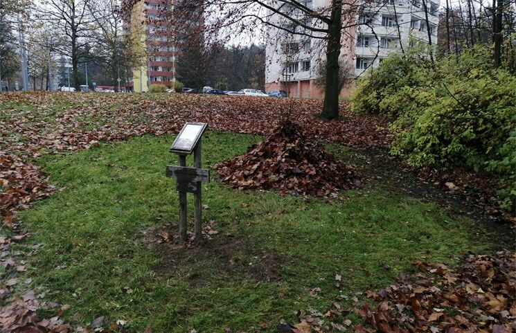 Ježčí úkryty na Trojce_1125_MO3 (1)