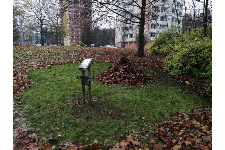 Ježčí úkryty na Trojce_1125_MO3 (1)