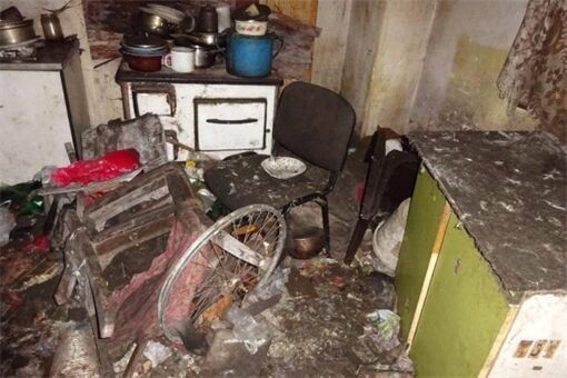 Nepořádek-v-chovu-650x433