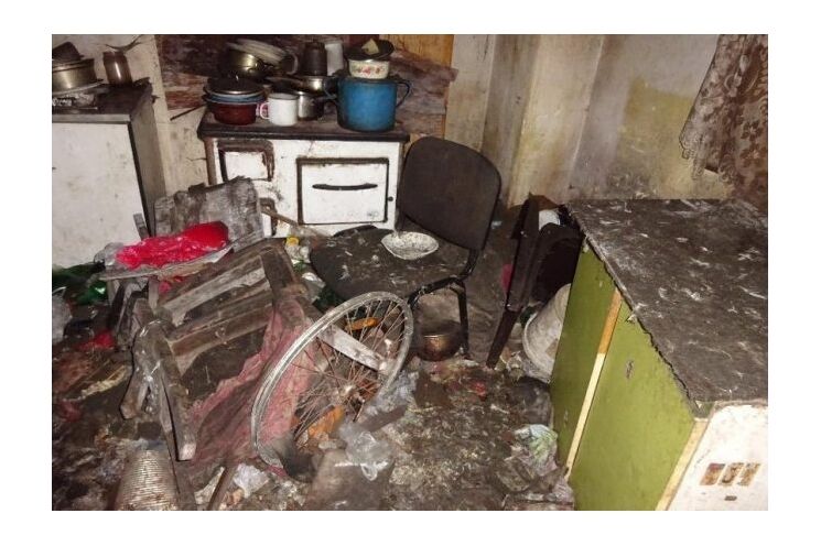 Nepořádek-v-chovu-650x433