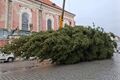 vánoční stromek Domažlice_1125_město Domažlice (4)