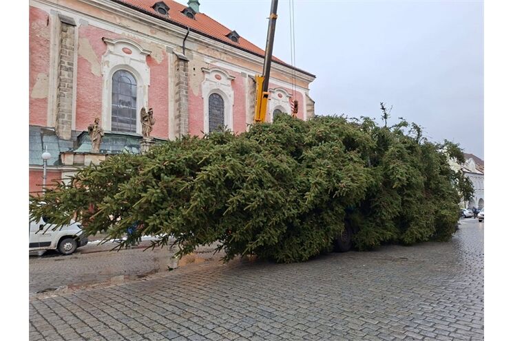 vánoční stromek Domažlice_1125_město Domažlice (4)