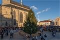 Vánoční Plzeň mix_1125_Milan Janoch