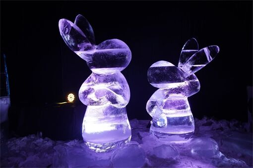 Večerníčkův ledový svět_1125_QAP (1)