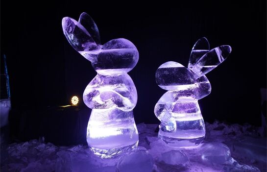 Večerníčkův ledový svět_1125_QAP (1)