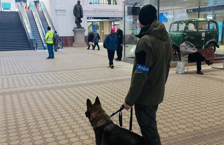 bezpečnostní akce v Plzni_1125_PČR