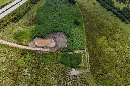 Janovský mokřad_1125_PK (4)