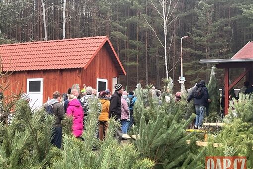 Stromky košinař QAP (7) Stromky košinař QAP (7)