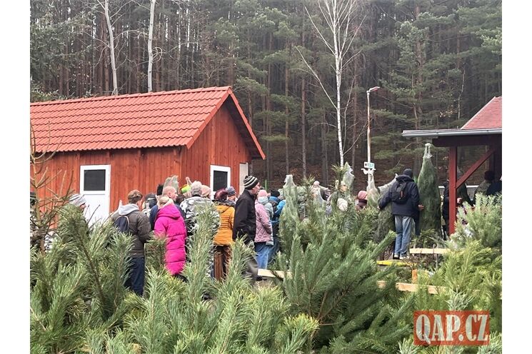 Stromky košinař QAP (7)