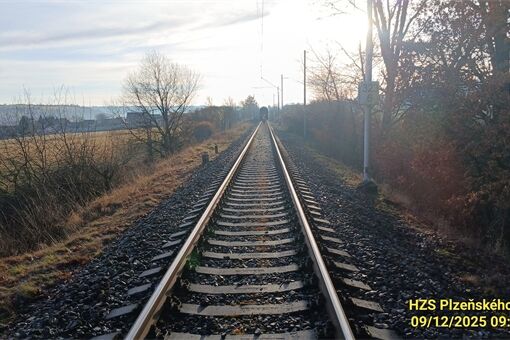 rychlík Ždírec ovce_1225_HZSPK (2) rychlík Ždírec ovce_1225_HZSPK (2)