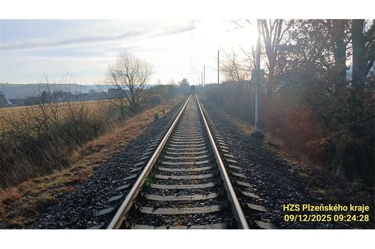 rychlík Ždírec ovce_1225_HZSPK (2)