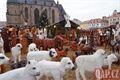 adventní trhy Plzeň_1225_QAP (10)