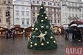 adventní trhy Plzeň_1225_QAP (21)