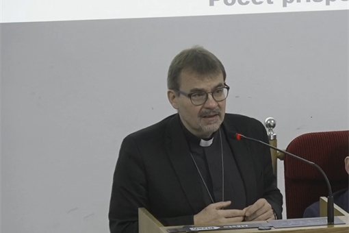 Holub zastupitelstvo_111225_screenshot Holub zastupitelstvo_111225_screenshot