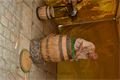 pilsner fest 2011 (4)