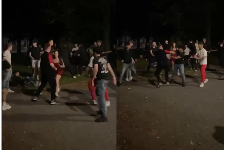 pátrání rvačka Horní Bříza_1225_PČR (1)